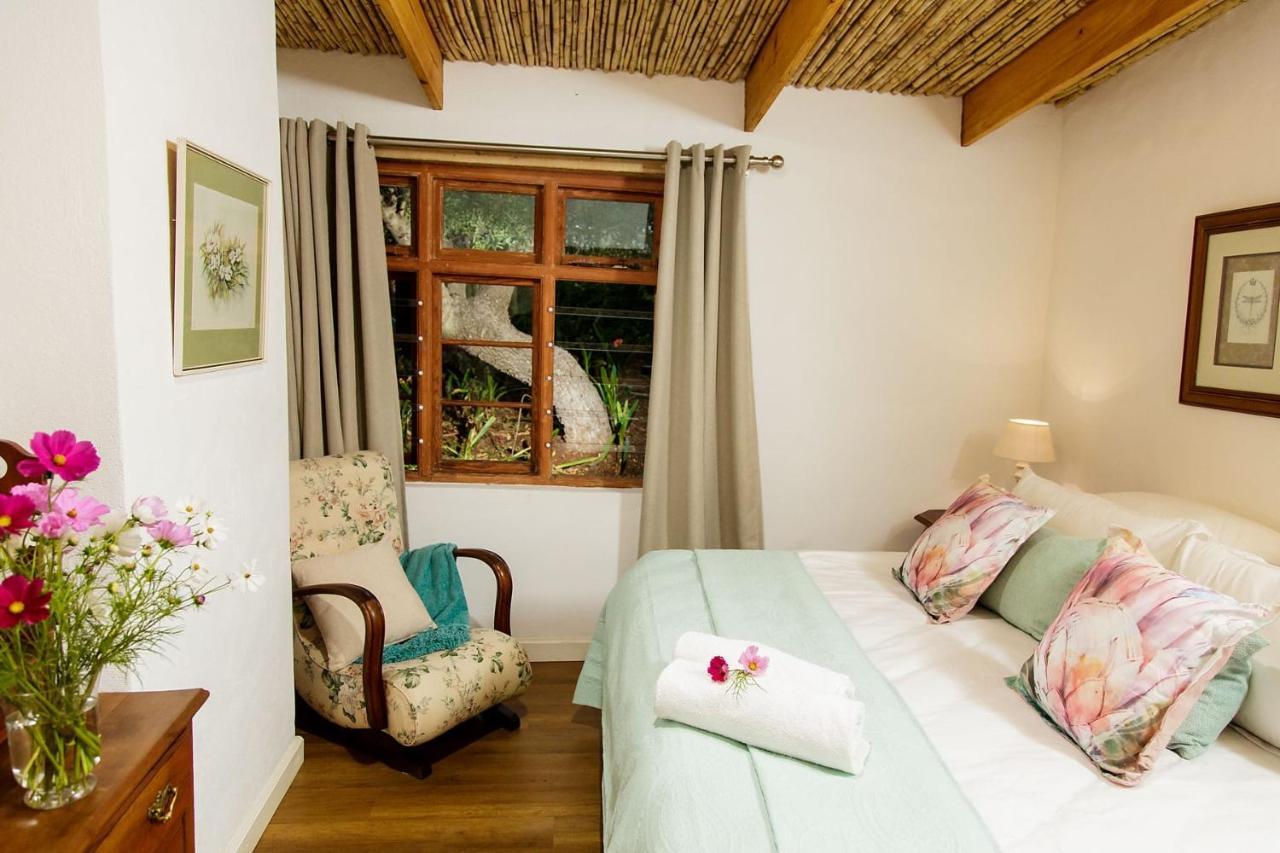 Bed and Breakfast Blue Lily Retreat Matjiesrivier  Exterior foto